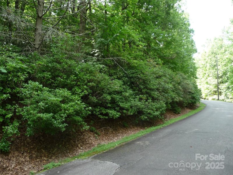 Property image 4 of Lot 70 Serpentine Drive in White Oak Mountain, Columbus, NC 28722
