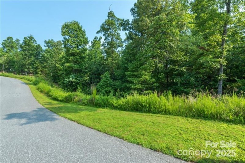 Property image 2 of V L Ridge Point Road in The Peninsula at Lake James, Nebo, NC 28761