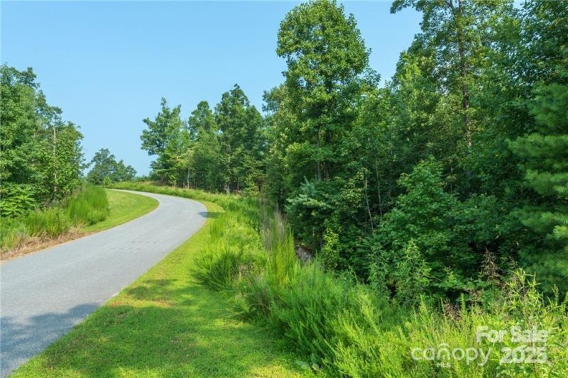 Property image 3 of V L Ridge Point Road in The Peninsula at Lake James, Nebo, NC 28761