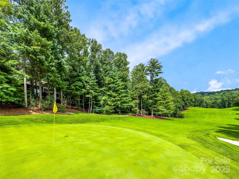 Property image 3 of 157 Chattooga Run in Champion Hills, Hendersonville, NC 28739