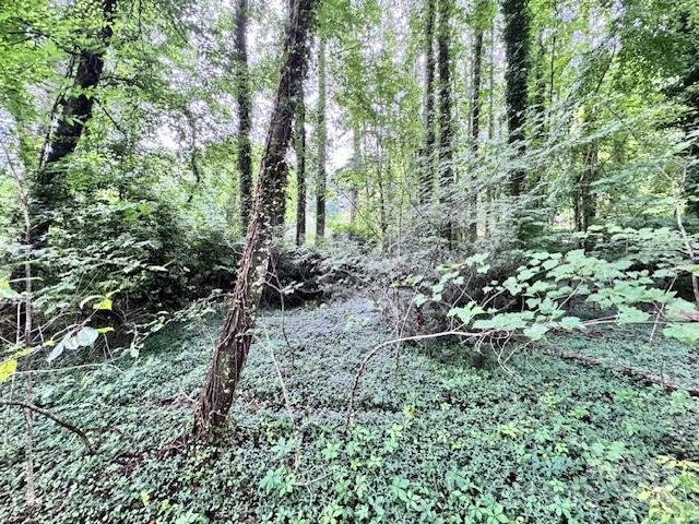 Property image 5 of 0 Glengary Drive in Flat Rock Forest, Flat Rock, NC 28731