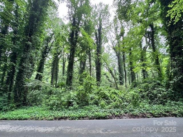 Property image 3 of 0 Boyd Drive in Flat Rock Forest, Flat Rock, NC 28731