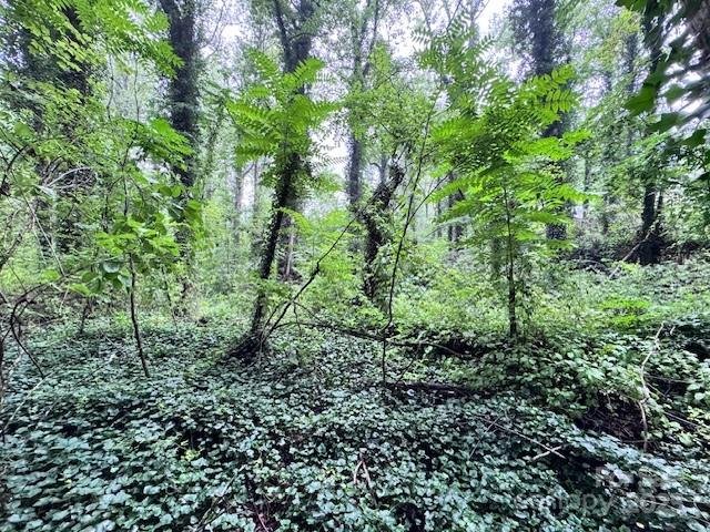 Property image 5 of 0 Boyd Drive in Flat Rock Forest, Flat Rock, NC 28731