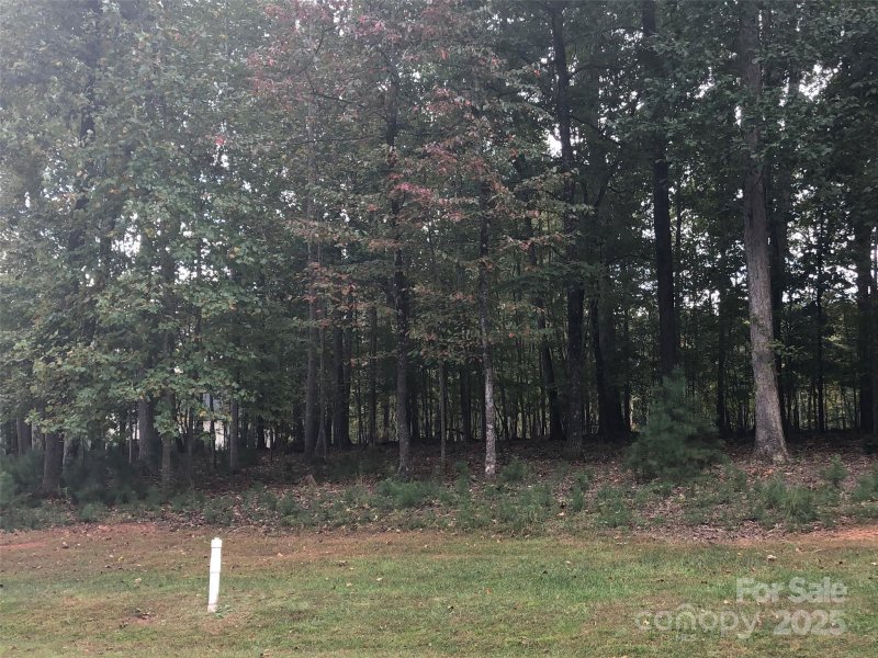 6223 Hollow Oak Drive