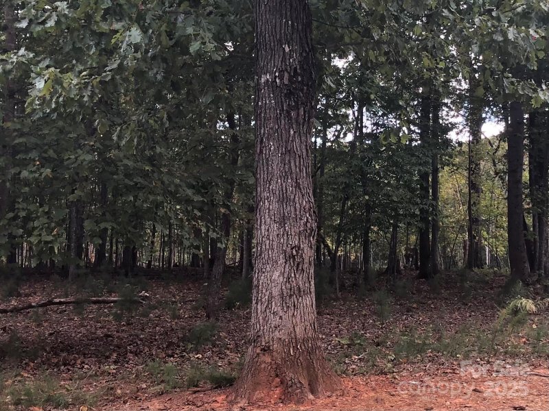 Property image 3 of 6223 Hollow Oak Drive in Cheval, Mint Hill, NC 28227