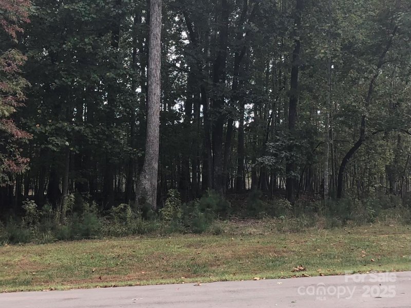 Property image 4 of 6223 Hollow Oak Drive in Cheval, Mint Hill, NC 28227