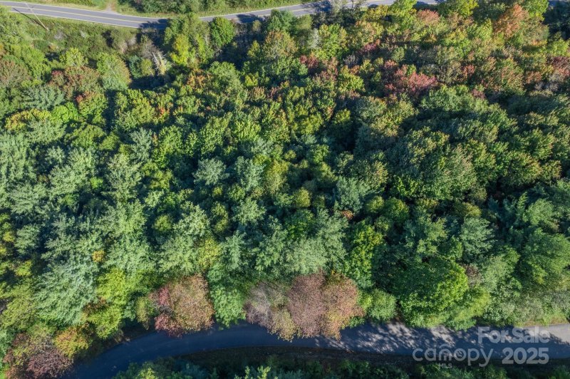 Property image 4 at Lot 37 White Fox Lane, Banner Elk, NC 28604