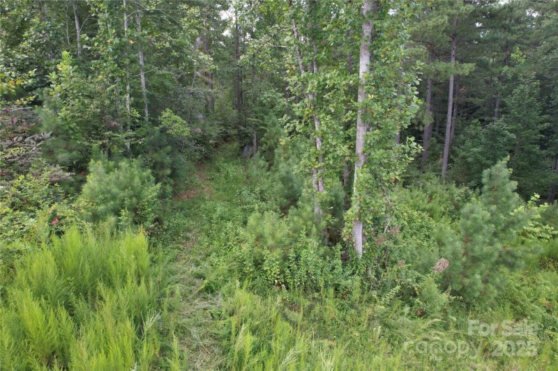 Property image 5 of 00 Scenic Drive in The Waterfront Club, Granite Falls, NC 28630