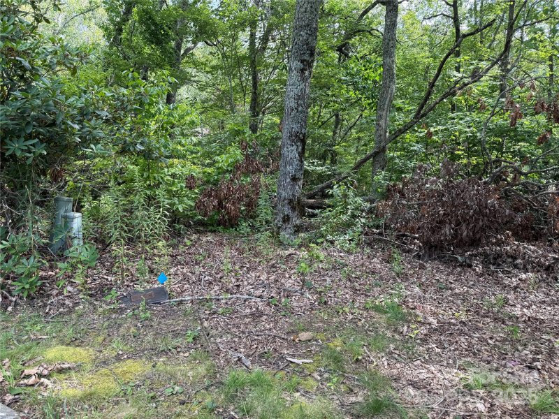 Property image 2 at Lot 71 Austin Mountain Drive, Burnsville, NC 28714