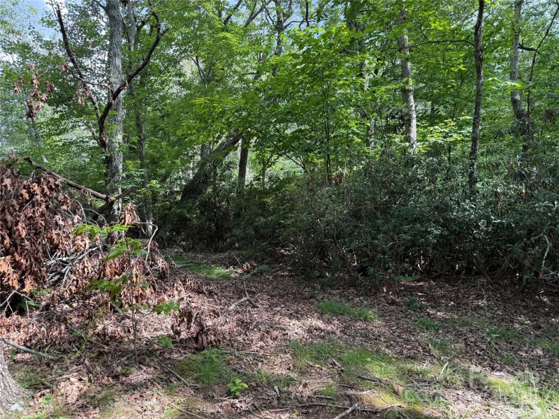 Property image 3 at Lot 71 Austin Mountain Drive, Burnsville, NC 28714