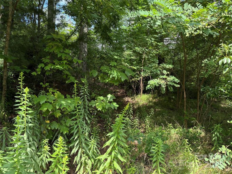 Property image 4 at Lot 71 Austin Mountain Drive, Burnsville, NC 28714