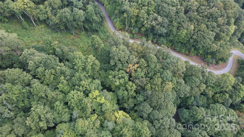 Property image 3 at 00 Running Bear Road, Hot Springs, NC 28743