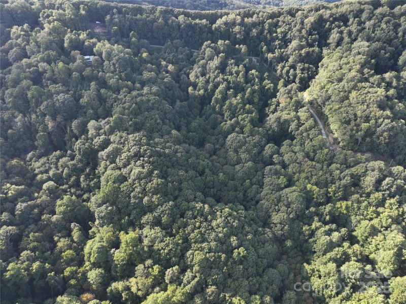 Property image 5 at 00 Running Bear Road, Hot Springs, NC 28743