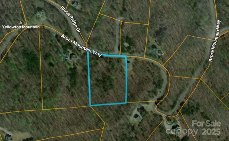 Property image 2 of 000 Arbra Mountain Way in Yellowtop Mountain Estates, Bostic, NC 28018