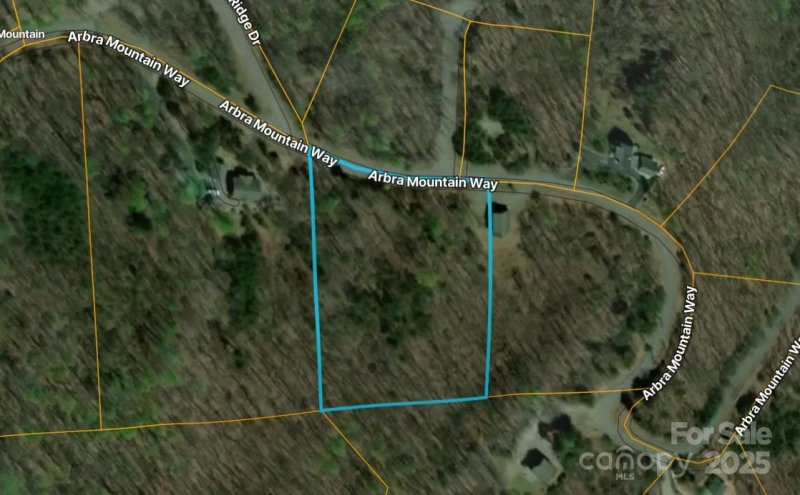 Property image 3 of 000 Arbra Mountain Way in Yellowtop Mountain Estates, Bostic, NC 28018