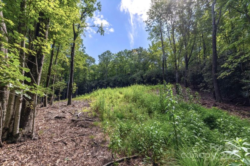 Property image 4 at 0 School House Road, Pisgah Forest, NC 28768