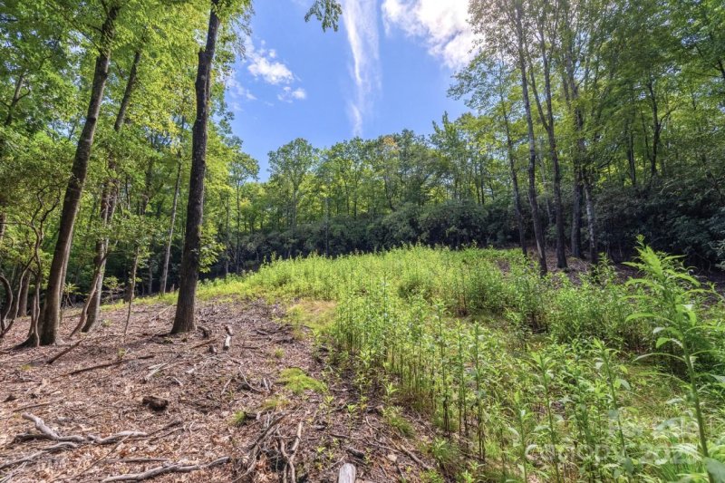 Property image 5 at 0 School House Road, Pisgah Forest, NC 28768