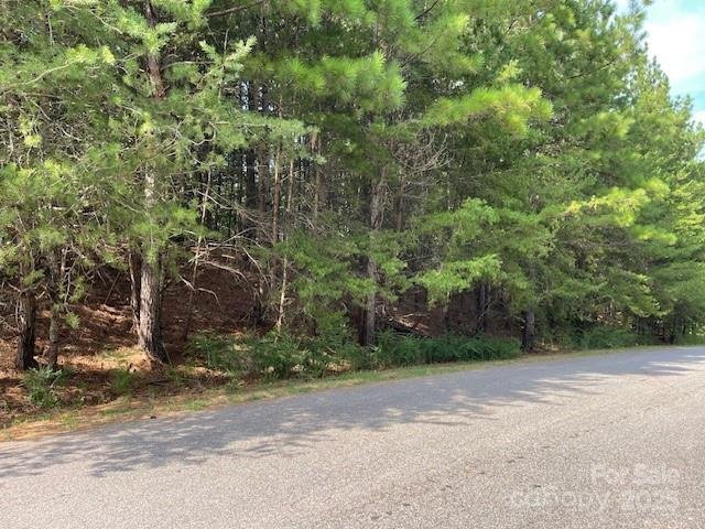 Property image 3 of 155 Windingwood Drive in Ridgewood, Statesville, NC 28677