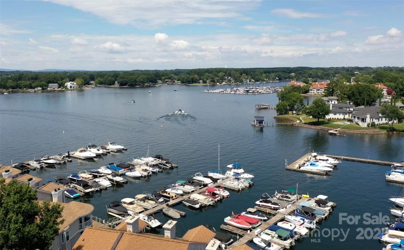 Property image 4 of 18647 Vineyard Point Lane in Vineyard Point, Cornelius, NC 28031