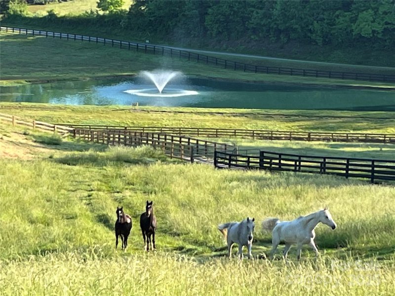 1038 Round Rock Road