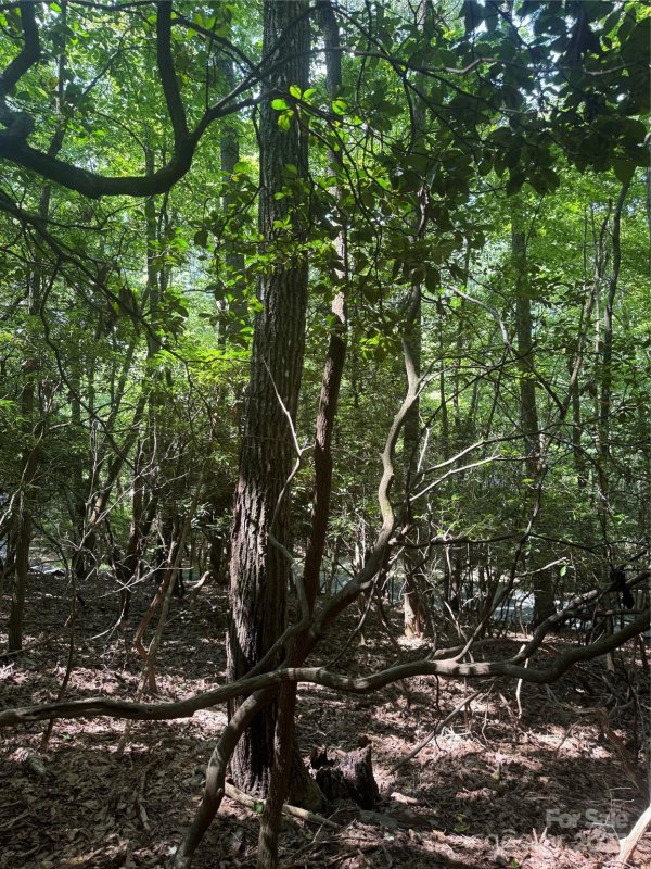 Property image 3 of 000 Wild Cherry Drive in High Vista, Mills River, NC 28759