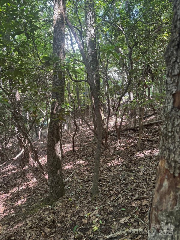 Property image 4 of 000 Wild Cherry Drive in High Vista, Mills River, NC 28759