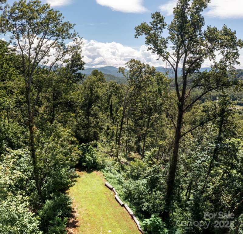 Property image 4 of 44 Giffords Lane in Pinchot Forest, Asheville, NC 28803