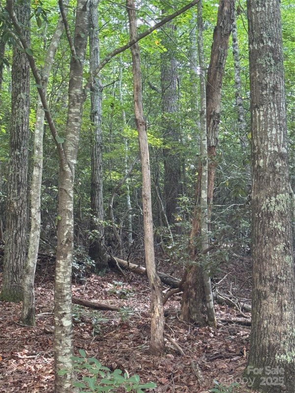 Property image 3 of 23 Red Oak Drive in High Vista, Mills River, NC 28759