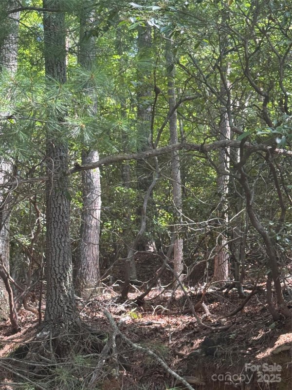 Property image 5 of 23 Red Oak Drive in High Vista, Mills River, NC 28759