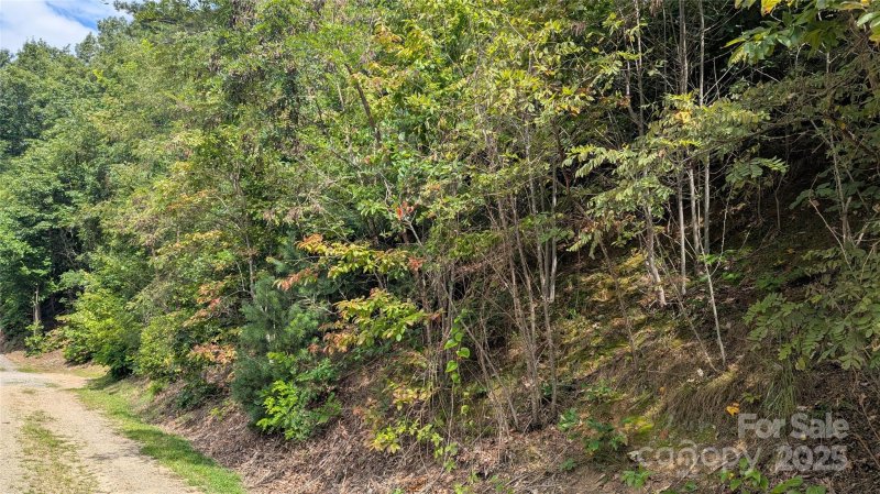 Property image 4 of 00 Pinewood Drive in Pine Wood Heights, Waynesville, NC 28786