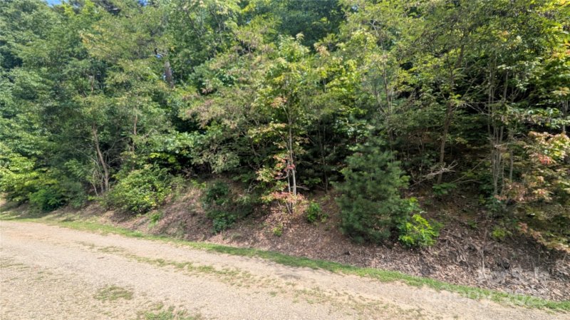 Property image 5 of 00 Pinewood Drive in Pine Wood Heights, Waynesville, NC 28786