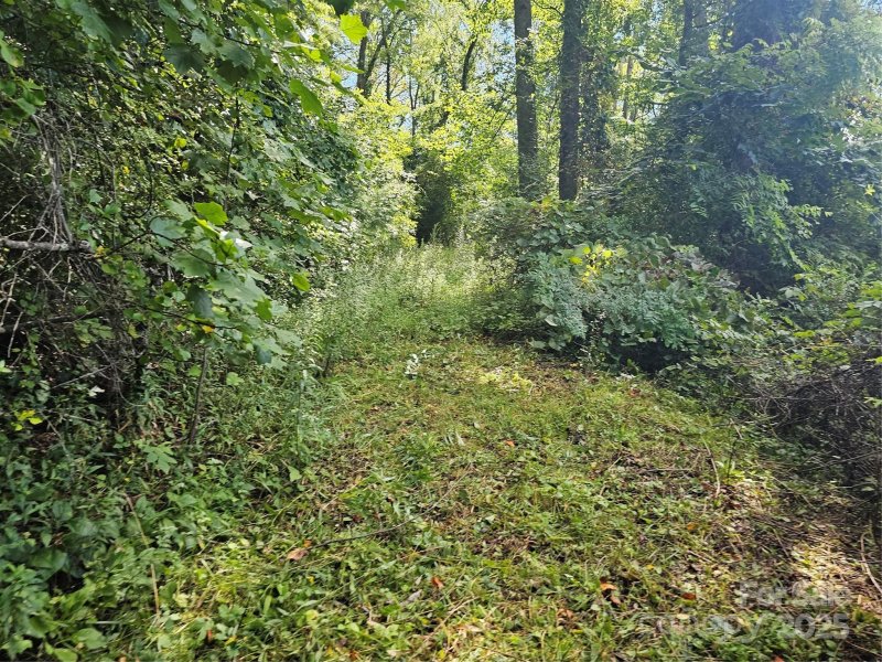 Property image 4 of 97 Destination Drive in Crest Mountain, Asheville, NC 28806