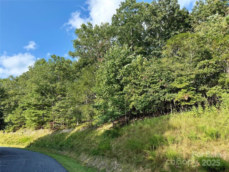 Property image 2 of 512 Wild River Run in French Broad Crossing, Marshall, NC 28753