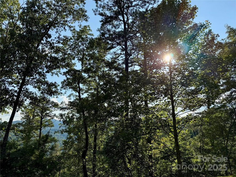 Property image 3 of 512 Wild River Run in French Broad Crossing, Marshall, NC 28753