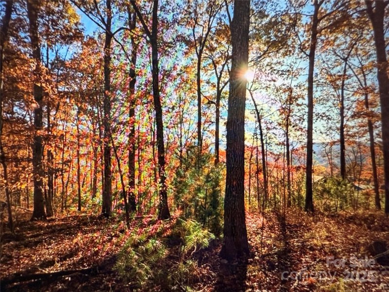 Property image 4 of 512 Wild River Run in French Broad Crossing, Marshall, NC 28753