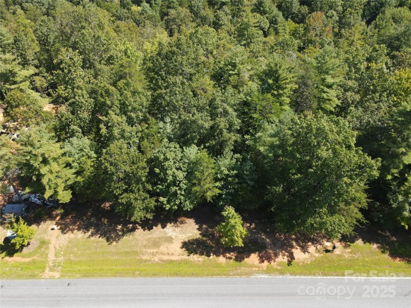 Property image 3 of 178 Beacon Ridge Drive in The Arbor at Lake James, Nebo, NC 28761