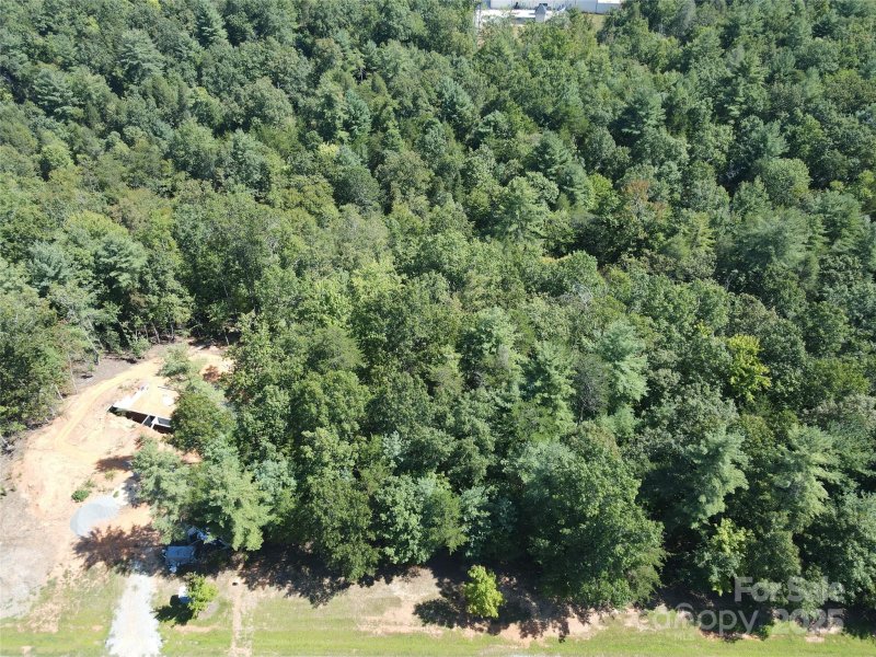 Property image 4 of 178 Beacon Ridge Drive in The Arbor at Lake James, Nebo, NC 28761