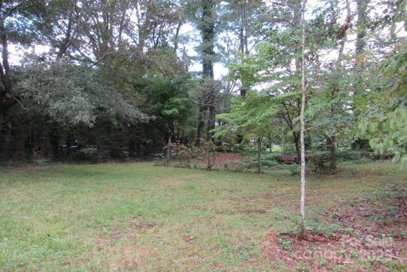 Property image 4 at 9999 Caledonia Road, Asheville, NC 28803
