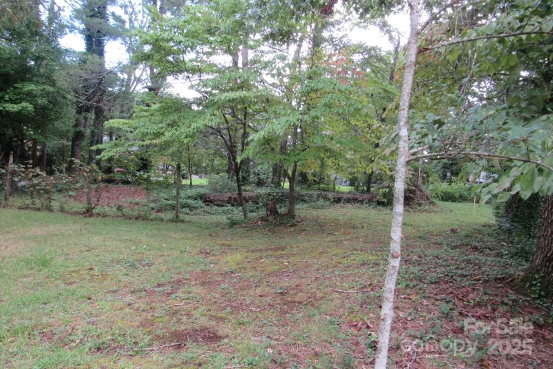 Property image 5 at 9999 Caledonia Road, Asheville, NC 28803