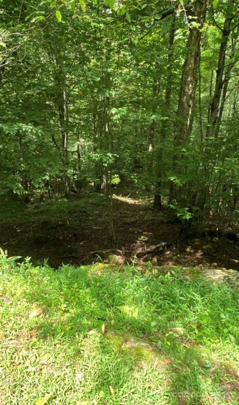 Property image 4 of 10 Mountain Gait Drive in The Preserve at Wolf Laurel, Mars Hill, NC 28754