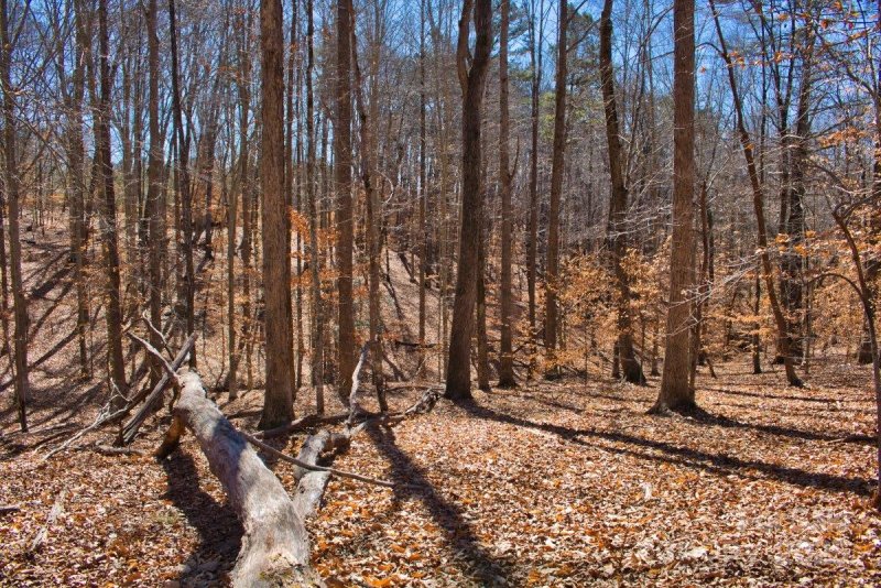 Property image 4 of 0 Cinnamon Ridge in Clearwater Creek, Rutherfordton, NC 28139