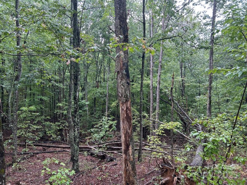 Property image 3 of 90 Adirondack Trail in Grandview Peaks, Nebo, NC 28761