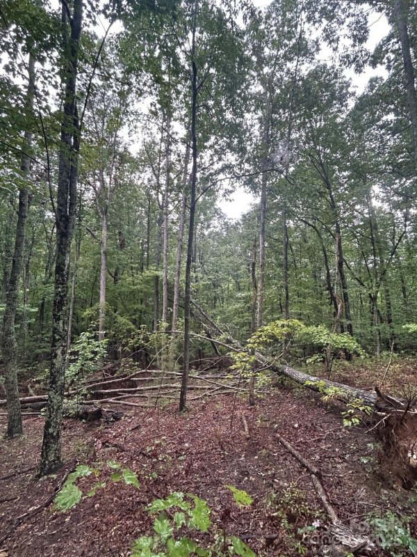 Property image 5 of 90 Adirondack Trail in Grandview Peaks, Nebo, NC 28761