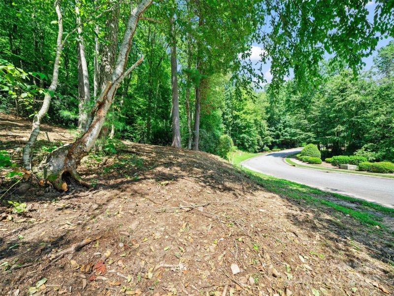 Property image 3 of 99999 Mistletoe Trail in Creekside, Hendersonville, NC 28791