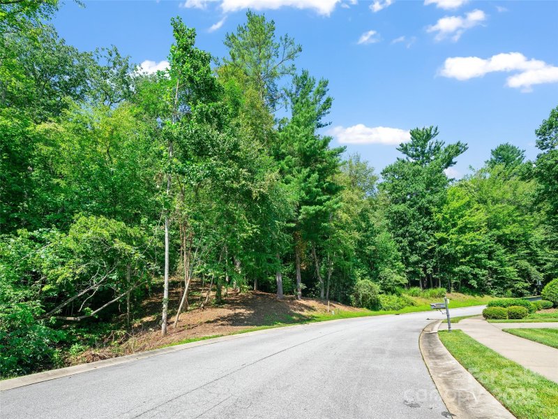 Property image 5 of 99999 Mistletoe Trail in Creekside, Hendersonville, NC 28791