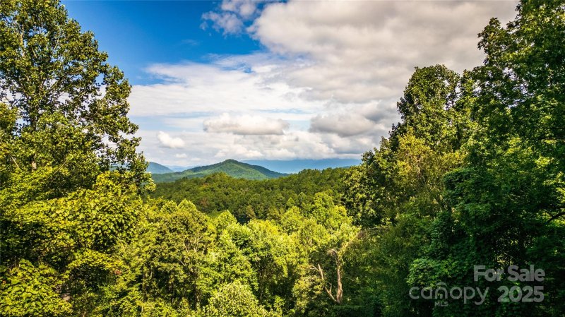 Property image 3 at 310 Moonlight Drive, Bryson City, NC 28713