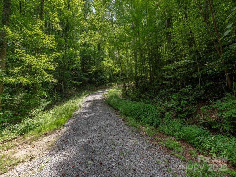 Property image 4 of 000 Flowing Brook Lane in Summer Walk, Waynesville, NC 28786