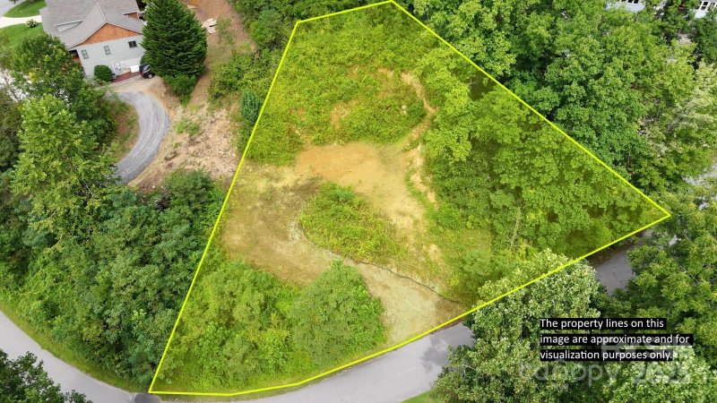 Trinity Cove, Waynesville Community