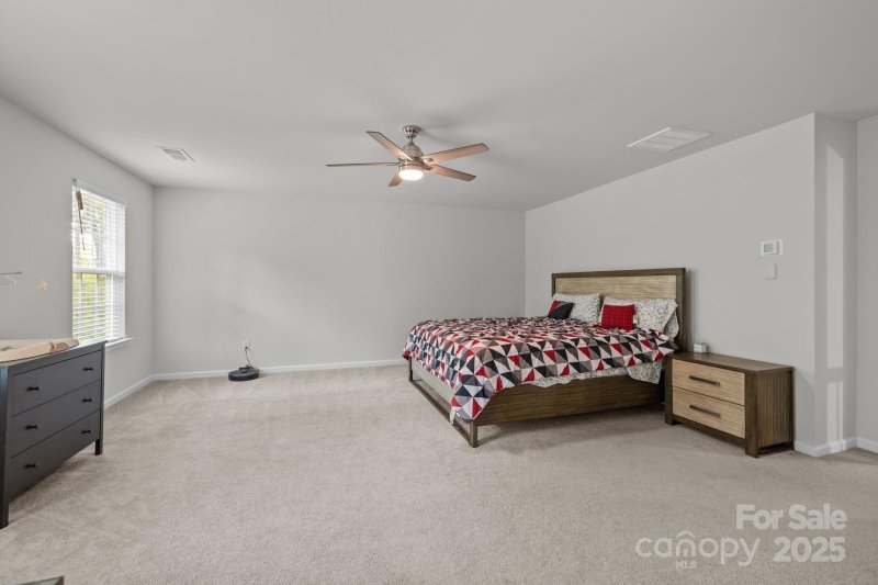 Property image 5 of 11125 Dappled Light Trail in The Estates at Arlington Woods, Mint Hill, NC 28227