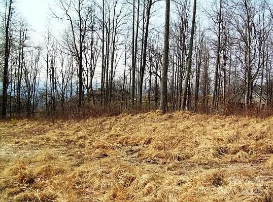 Property image 2 at 60 Ivywood Lane, Hendersonville, NC 28739